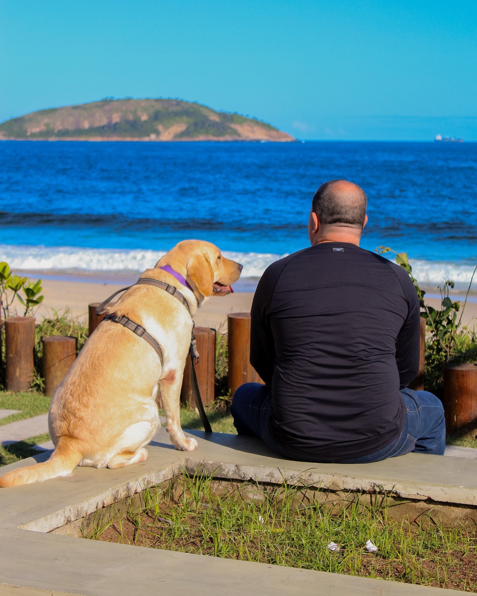 Cão e tutor em momento de conexão durante atividade ao ar livre
